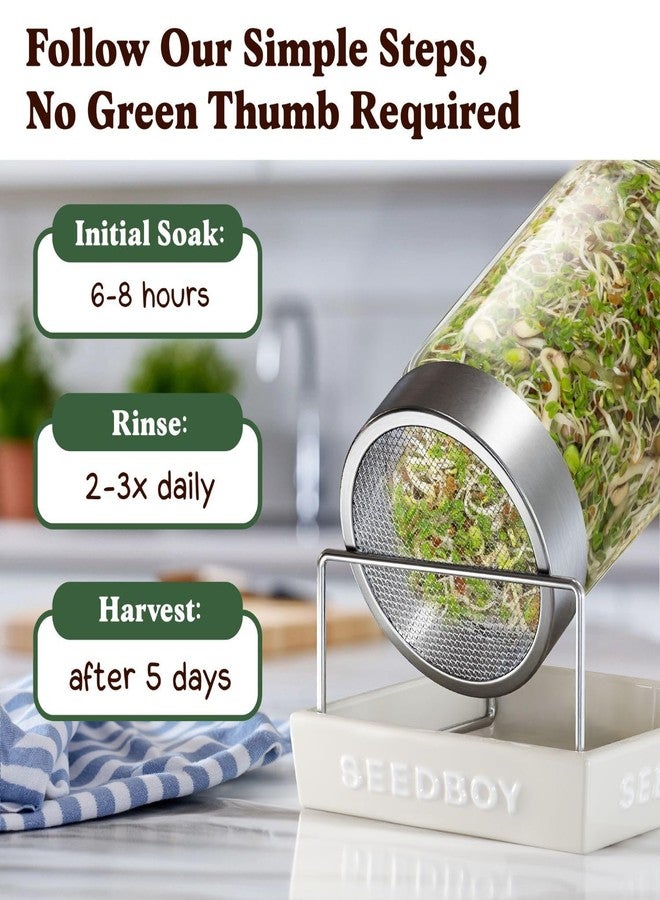 Seedboy Organic Non-GMO Sprouting Seeds, Fresh Salad Blend – USA Grown Microgreens Mix with Alfalfa, Broccoli, Radish, Mung Bean & Lentil – 8 oz Bag Makes 8 Quarts / 24 Servings (Salad Blend) - Image 4